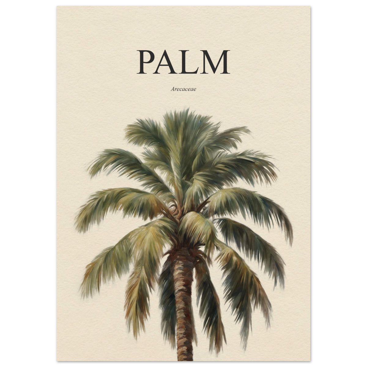 Palm