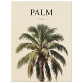 Palm