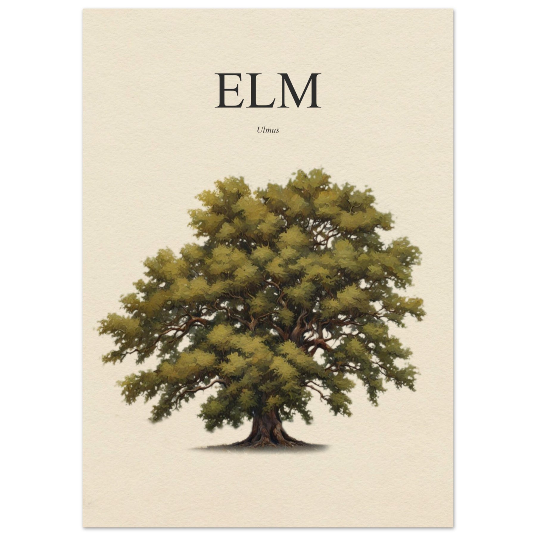 Elm