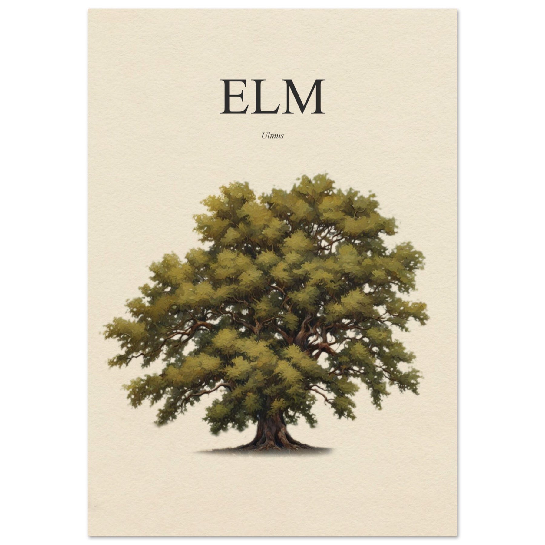 Elm