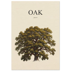 Oak