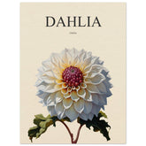 Dahlia