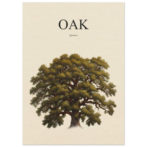 Oak