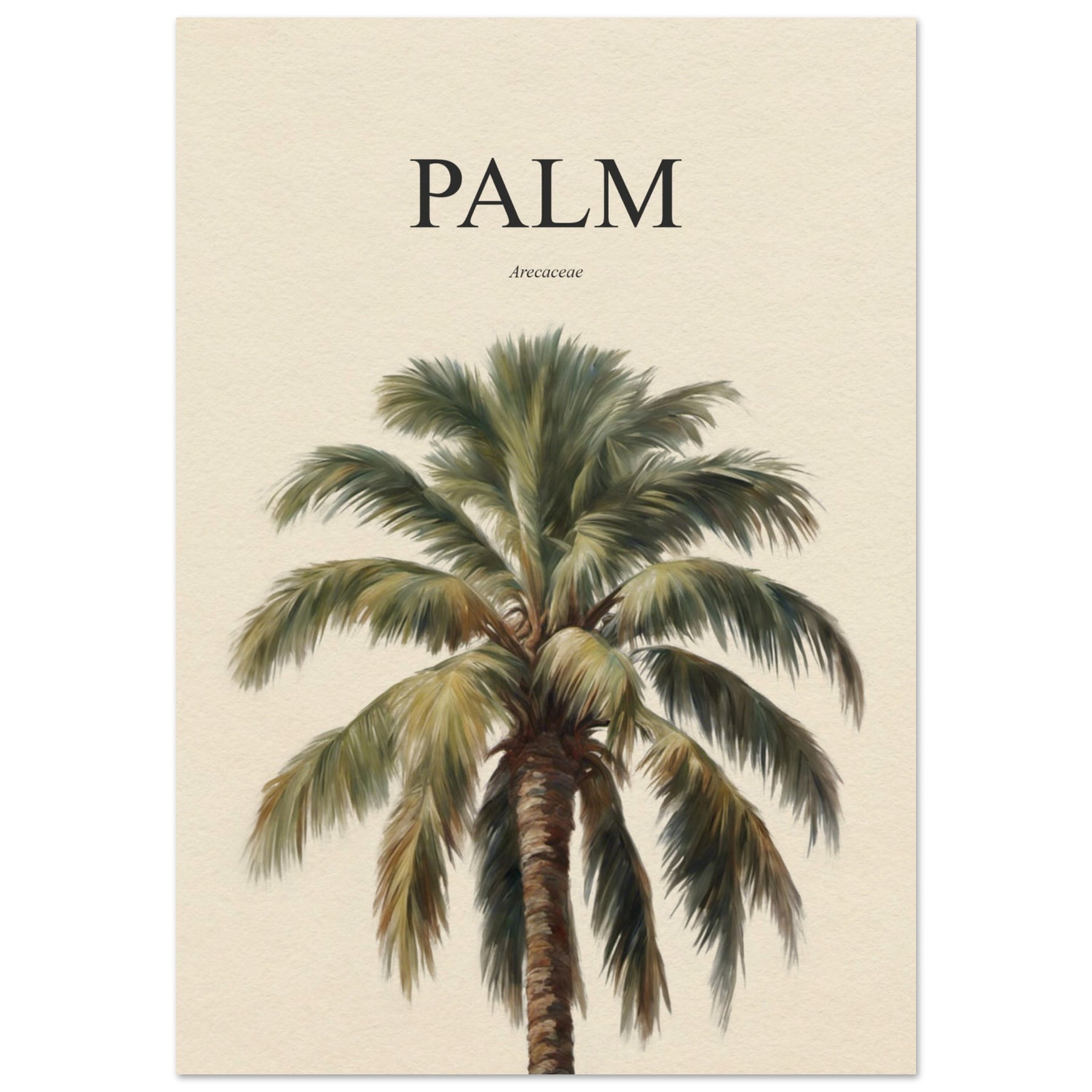 Palm